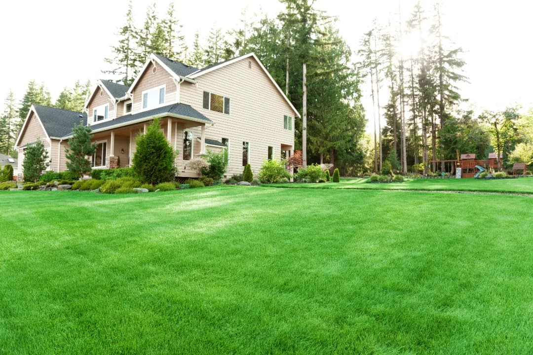 Beautiful suburban home